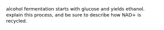 alcohol fermentation starts with glucose and yields ethanol. explain this process, and be sure to describe how NAD+ is recycled.