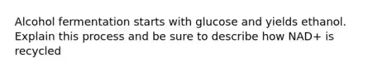 Alcohol fermentation starts with glucose and yields ethanol. Explain this process and be sure to describe how NAD+ is recycled