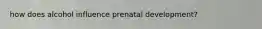 how does alcohol influence prenatal development?