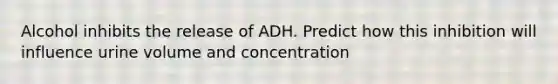 Alcohol inhibits the release of ADH. Predict how this inhibition will influence urine volume and concentration