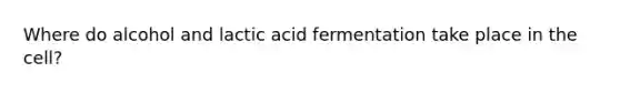 Where do alcohol and lactic acid fermentation take place in the cell?