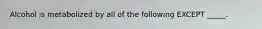 Alcohol is metabolized by all of the following EXCEPT _____.