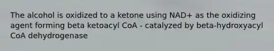 The alcohol is oxidized to a ketone using NAD+ as the oxidizing agent forming beta ketoacyl CoA - catalyzed by beta-hydroxyacyl CoA dehydrogenase