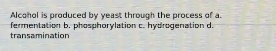 Alcohol is produced by yeast through the process of a. fermentation b. phosphorylation c. hydrogenation d. transamination