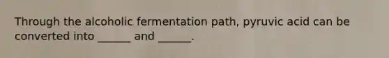 Through the alcoholic fermentation path, pyruvic acid can be converted into ______ and ______.