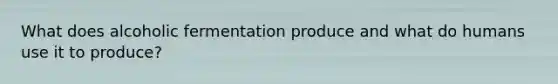 What does alcoholic fermentation produce and what do humans use it to produce?