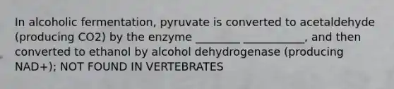 In alcoholic fermentation, pyruvate is converted to acetaldehyde (producing CO2) by the enzyme ________ ___________, and then converted to ethanol by alcohol dehydrogenase (producing NAD+); NOT FOUND IN VERTEBRATES