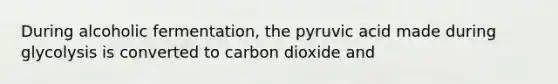 During alcoholic fermentation, the pyruvic acid made during glycolysis is converted to carbon dioxide and