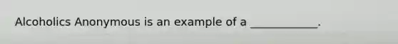 Alcoholics Anonymous is an example of a ____________.
