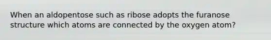 When an aldopentose such as ribose adopts the furanose structure which atoms are connected by the oxygen atom?