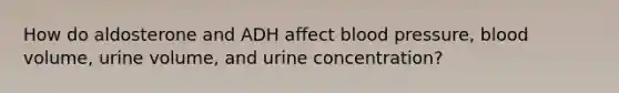 How do aldosterone and ADH affect <a href='https://www.questionai.com/knowledge/kD0HacyPBr-blood-pressure' class='anchor-knowledge'>blood pressure</a>, blood volume, urine volume, and urine concentration?