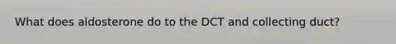 What does aldosterone do to the DCT and collecting duct?