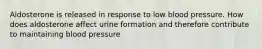 Aldosterone is released in response to low blood pressure. How does aldosterone affect urine formation and therefore contribute to maintaining blood pressure