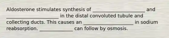 Aldosterone stimulates synthesis of ______________________ and ______________________ in the distal convoluted tubule and collecting ducts. This causes an _____________________ in sodium reabsorption. ______________ can follow by osmosis.