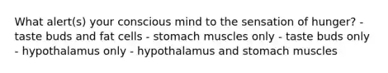 What alert(s) your conscious mind to the sensation of hunger?​ - ​taste buds and fat cells ​- stomach muscles only ​- taste buds only ​- hypothalamus only - ​hypothalamus and stomach muscles