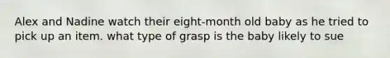 Alex and Nadine watch their eight-month old baby as he tried to pick up an item. what type of grasp is the baby likely to sue