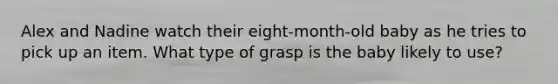 Alex and Nadine watch their eight-month-old baby as he tries to pick up an item. What type of grasp is the baby likely to use?