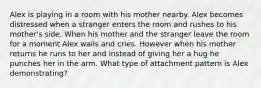 Alex is playing in a room with his mother nearby. Alex becomes distressed when a stranger enters the room and rushes to his mother's side. When his mother and the stranger leave the room for a moment Alex wails and cries. However when his mother returns he runs to her and instead of giving her a hug he punches her in the arm. What type of attachment pattern is Alex demonstrating?