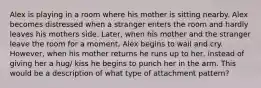 Alex is playing in a room where his mother is sitting nearby. Alex becomes distressed when a stranger enters the room and hardly leaves his mothers side. Later, when his mother and the stranger leave the room for a moment, Alex begins to wail and cry. However, when his mother returns he runs up to her, instead of giving her a hug/ kiss he begins to punch her in the arm. This would be a description of what type of attachment pattern?