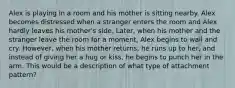 Alex is playing in a room and his mother is sitting nearby. Alex becomes distressed when a stranger enters the room and Alex hardly leaves his mother's side. Later, when his mother and the stranger leave the room for a moment, Alex begins to wail and cry. However, when his mother returns, he runs up to her, and instead of giving her a hug or kiss, he begins to punch her in the arm. This would be a description of what type of attachment pattern?