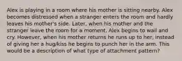 Alex is playing in a room where his mother is sitting nearby. Alex becomes distressed when a stranger enters the room and hardly leaves his mother's side. Later, when his mother and the stranger leave the room for a moment, Alex begins to wail and cry. However, when his mother returns he runs up to her, instead of giving her a hug/kiss he begins to punch her in the arm. This would be a description of what type of attachment pattern?