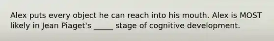 Alex puts every object he can reach into his mouth. Alex is MOST likely in Jean Piaget's _____ stage of cognitive development.