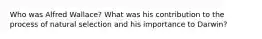 Who was Alfred Wallace? What was his contribution to the process of natural selection and his importance to Darwin?