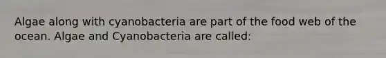 Algae along with cyanobacteria are part of the food web of the ocean. Algae and Cyanobacteria are called: