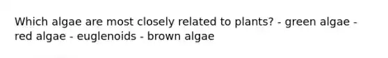 Which algae are most closely related to plants? - green algae - red algae - euglenoids - brown algae