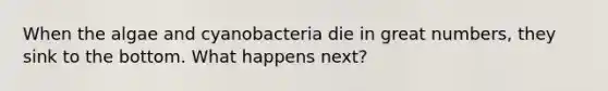 When the algae and cyanobacteria die in great numbers, they sink to the bottom. What happens next?