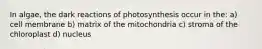 In algae, the dark reactions of photosynthesis occur in the: a) cell membrane b) matrix of the mitochondria c) stroma of the chloroplast d) nucleus