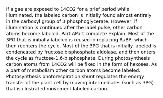 If algae are exposed to 14CO2 for a brief period while illuminated, the labeled carbon is initially found almost entirely in the carboxyl group of 3-phosphoglycerate. However, if illumination is continued after the label pulse, other carbon atoms become labeled. Part APart complete Explain. Most of the 3PG that is initially labeled is reused in replacing RuBP, which then reenters the cycle. Most of the 3PG that is initially labeled is condencated by fructose bisphosphate aldolase, and then enters the cycle as fructose-1,6-bisphosphate. During photosynthesis carbon atoms from 14CO2 will be fixed in the form of hexoses. As a part of metabolism other carbon atoms become labeled. Photosynthesis-photorespiration shunt regulates the energy transfer of the plant cell by moving intermediates (such as 3PG) that is illustrated movement labeled carbon.