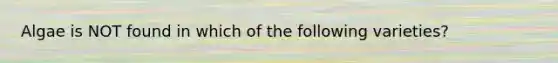 Algae is NOT found in which of the following varieties?