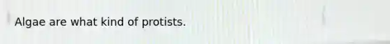 Algae are what kind of protists.