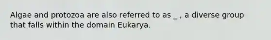 Algae and protozoa are also referred to as _ , a diverse group that falls within the domain Eukarya.