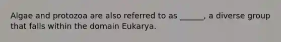 Algae and protozoa are also referred to as ______, a diverse group that falls within the domain Eukarya.