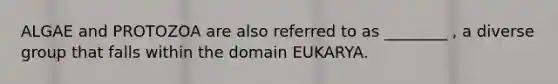 ALGAE and PROTOZOA are also referred to as ________ , a diverse group that falls within the domain EUKARYA.