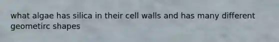 what algae has silica in their cell walls and has many different geometirc shapes