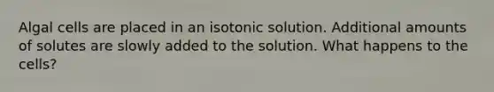 Algal cells are placed in an isotonic solution. Additional amounts of solutes are slowly added to the solution. What happens to the cells?