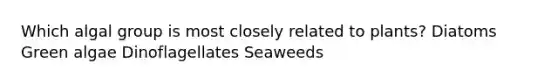 Which algal group is most closely related to plants? Diatoms Green algae Dinoflagellates Seaweeds