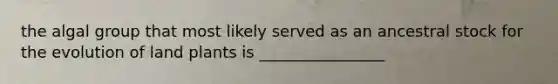 the algal group that most likely served as an ancestral stock for the evolution of land plants is ________________