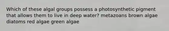 Which of these algal groups possess a photosynthetic pigment that allows them to live in deep water? metazoans brown algae diatoms red algae green algae