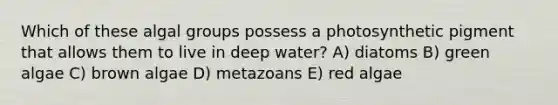 Which of these algal groups possess a photosynthetic pigment that allows them to live in deep water? A) diatoms B) green algae C) brown algae D) metazoans E) red algae