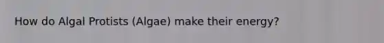 How do Algal Protists (Algae) make their energy?