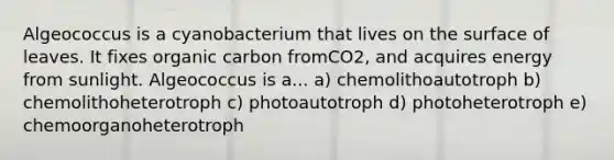 Algeococcus is a cyanobacterium that lives on the surface of leaves. It fixes organic carbon fromCO2, and acquires energy from sunlight. Algeococcus is a... a) chemolithoautotroph b) chemolithoheterotroph c) photoautotroph d) photoheterotroph e) chemoorganoheterotroph