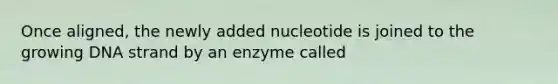 Once aligned, the newly added nucleotide is joined to the growing DNA strand by an enzyme called