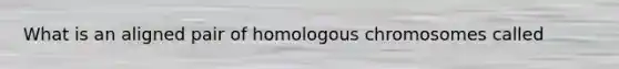 What is an aligned pair of homologous chromosomes called