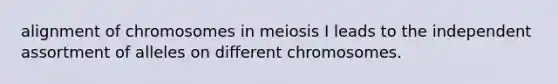 alignment of chromosomes in meiosis I leads to the independent assortment of alleles on different chromosomes.