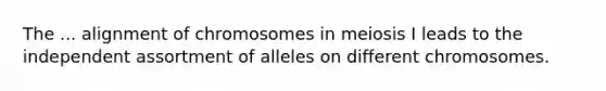 The ... alignment of chromosomes in meiosis I leads to the independent assortment of alleles on different chromosomes.