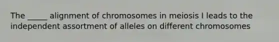 The _____ alignment of chromosomes in meiosis I leads to the independent assortment of alleles on different chromosomes